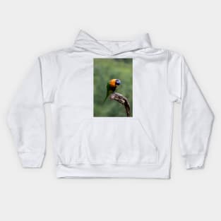 Upside Down Lorikeet Kids Hoodie